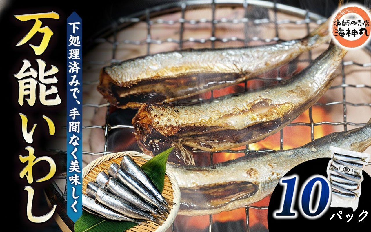 万能いわし 8匹 (約160g~180g) × 10袋 下処理済み