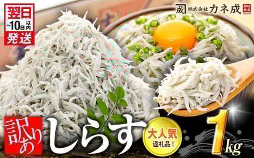 訳あり 釜揚げ しらす 1kg (1箱) 小分け 減塩 無添加 無着色 冷凍 愛知県 南知多町 ご飯 ごはん 丼 料理 国産 カネ成 シラス 人気 おすすめ