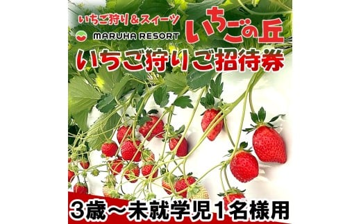 まるは食堂 マルハリゾート いちごの丘『いちご狩り』3歳～未就学児用ご招待券(1名様用) いちご いちご狩り 章姫 かおり野 甘い 完熟 新鮮 穫れたて 香り豊か 自然