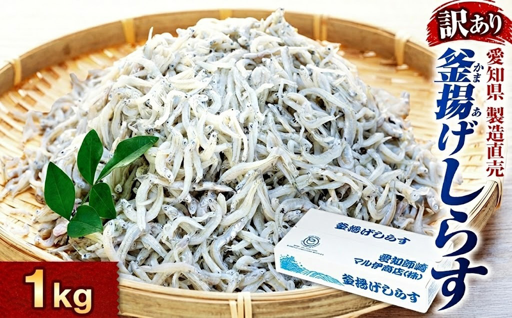 しらす 訳あり 1kg 1箱 釜揚げしらす シラス ごはん おかず チャーハン パスタ 料理 大きめ ランキング こだわり 鮮度 天塩 マル伊商店 愛知県 南知多町