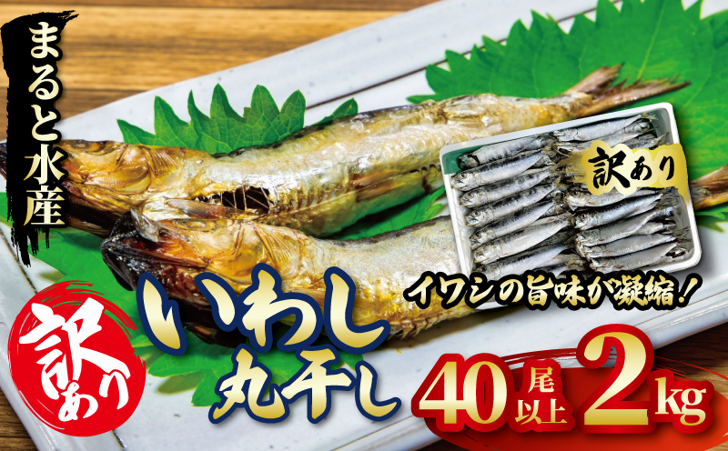 いわし 丸干し 訳あり 2kg イワシ いわし イワシ