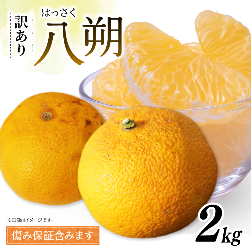 訳あり 八朔 約2kg 南知多町産 はっさく 愛知県