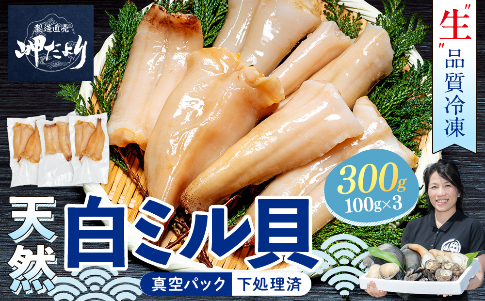 岬だより ＜貝専門店＞ 天然 白ミル貝 100g × 3袋 冷凍 新鮮 海鮮 鮮度 風味 魚介 貝 海の幸 お刺身 寿司 バター焼き ご飯 甘み おつまみ 酒 おすすめ 人気 愛知県 南知多町 三河湾 【北海道･沖縄県･離島不可】