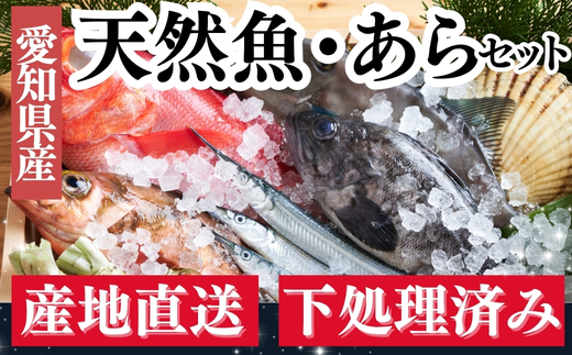 下処理済み 天然魚・アラセットD 煮魚タレ付き 急速冷凍 真空パック 岬だより 愛知県 南知多町 人気 おすすめ