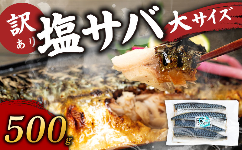 訳あり塩サバ フィレ500g
