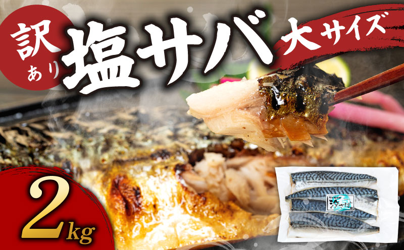 訳あり塩サバ フィレ2kg