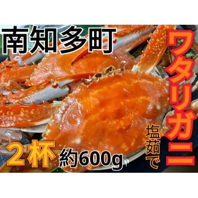 ワタリガニ 600g 2杯 冷凍 ボイルワタリガニ 渡り蟹 海鮮 新鮮 魚介 海の幸 海産物 シーフードエム・エム 愛知県 南知多町