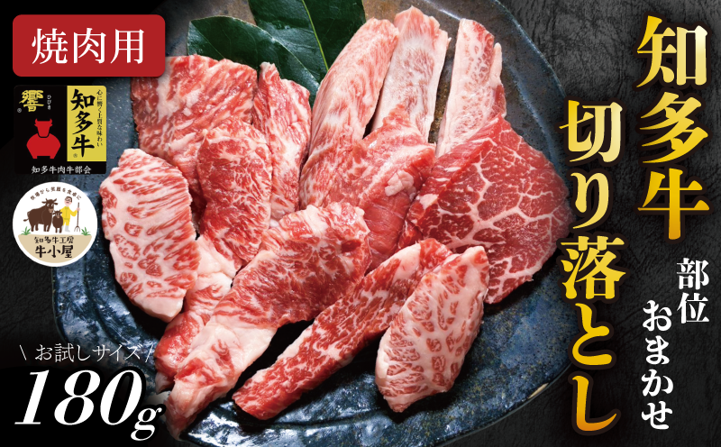 【生産直売】 知多牛 響 180g 部位おまかせ 焼肉セット 切り落とし 冷凍 牛肉 焼肉 肉 切落し 牛 ご飯のおとも 牛肉 焼肉 肉 切落 牛 ワイン 牛肉 焼肉 肉 切り落とし 牛 牛丼 牛肉 焼肉 肉 切り落し 牛 BBQ 牛肉 焼肉 肉 牛 ふるさと納税牛肉 ふるさと納税焼肉 ふるさと納税切り落とし バーベキュー 牛肉 焼肉 肉 牛 ふるさと納税バーベキュー 愛知県 南知多町