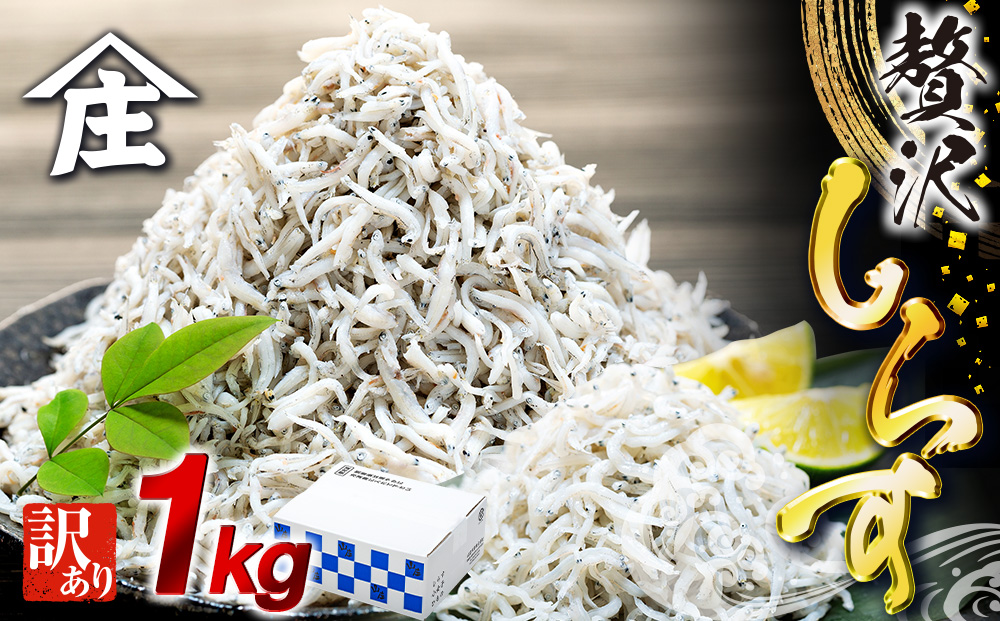 しらす 1kg 訳あり 冷凍 ちりめん かちり しらす干し 減塩 極み ごはん 丼 パスタ チャーハン サラダ 魚 料理 山庄 愛知県 南知多町 師崎