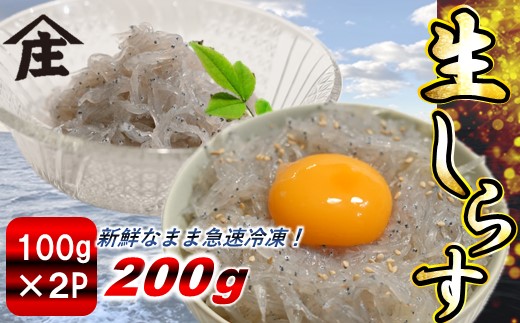 生しらす 200g ( 100g × 2袋 ) 冷凍 刺身 真空パック ごはん 丼 サラダ 魚 料理 愛知県 南知多町 師崎