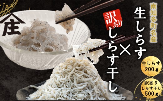生しらす 200g 訳ありしらす干し 500g セット 冷凍 刺身 真空パック しらす干し 炒飯 パスタ ごはん 丼 サラダ 魚 料理 愛知県 南知多町 師崎