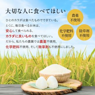 令和5年産 出口崇仁農園のコシヒカリ 有機栽培米【白米5kg】世界に一つだけのお米 ※着日指定不可 ※離島への配送不可