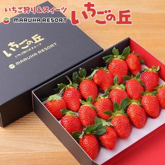 【2026年1月上旬発送開始】まるは食堂 マルハリゾート いちごの丘の『朝摘みいちご』1箱（1箱約450g） ※2026年1月上旬～3月下旬頃に順次発送予定 ※北海道・沖縄・離島への配送不可