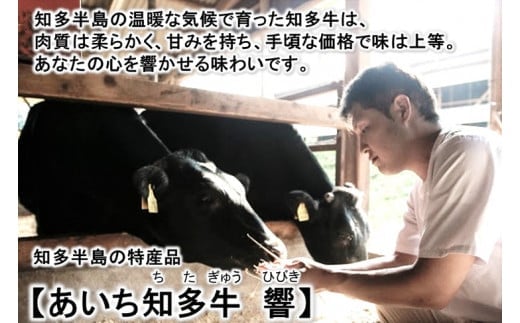 希少部位の焼肉BBQセット【1キロ】高級4等級使用!!『知多牛』◇ ※北海道・沖縄・離島の方は量が異なりますので、下記内容量欄で確認してください。