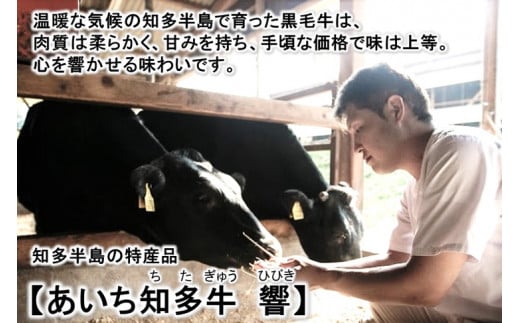 高級4等級使用!! 【サーロインステーキ】250g4枚 『知多牛』生肉で送ります!!◇ ※北海道・沖縄・離島の方は量が異なりますので、下記内容量欄で確認してください。