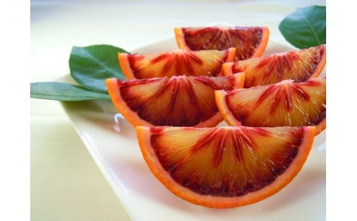 国産(美浜町産)ブラッドオレンジオーナー制度 〇