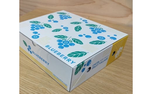 採れたて！大粒系ブルーベリー　100g×4パック　※2026年5月上旬～7月上旬頃に順次発送予定