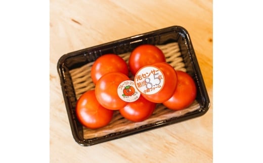 フルーツトマト糖度8.5度　約1.5kg ※2026年1月上旬～4月下旬頃に順次発送予定◆