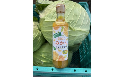 みはまのみかんドレッシング（2本入り）◆｜調味料 ミカン 蜜柑 柑橘