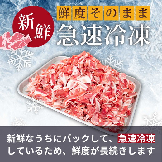 国産豚肉 小分け 小間 切り落とし4kg 500g8パック 真空 個包装 冷凍 新鮮 精肉店 肉屋 直送 厳選　知多豚 レシピ 炒め おかず