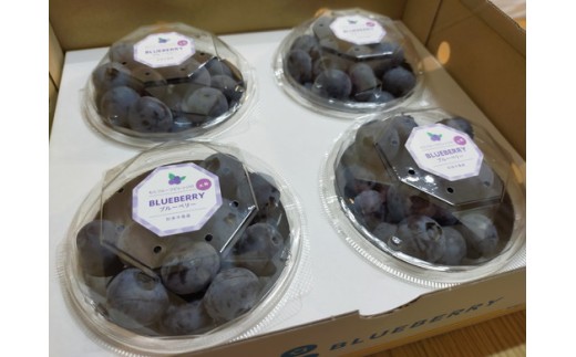 美浜町産　超大粒ブルーベリー『ユーリカ』品種指定 100g×4パック　※2026年5月中旬～5月下旬頃に順次発送予定