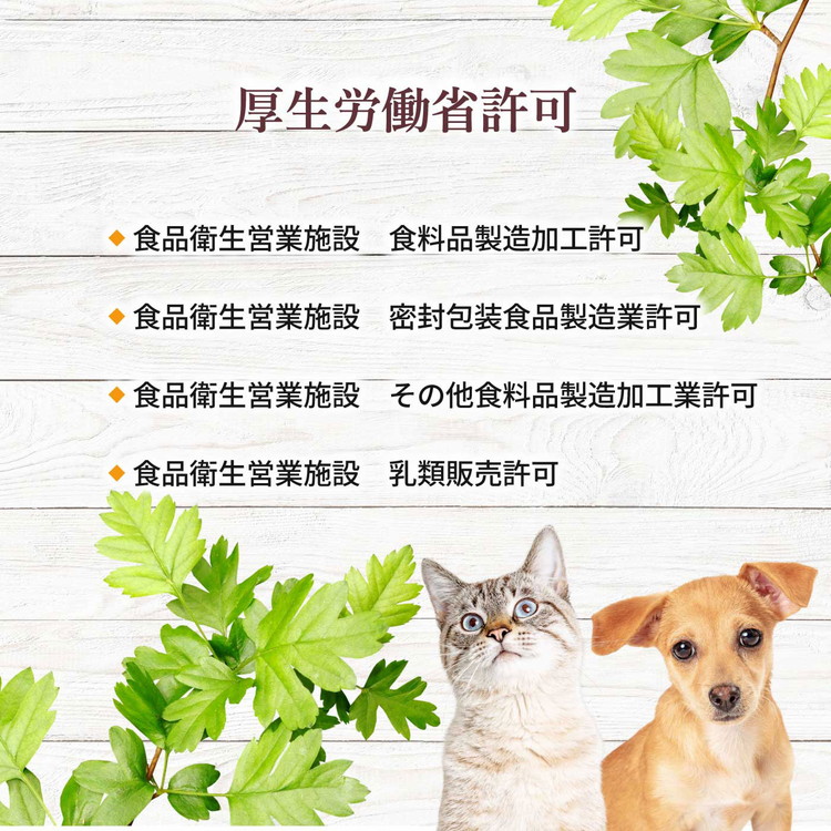 【国産高品質】粉末ヤギミルク 100g×1袋（愛知ヤギ農場産）◆ | 犬 猫 無添加 無着色 パウダー※離島への配送不可