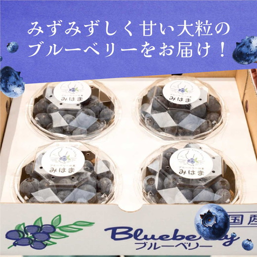 【先行受付予約】知多半島 生ブルーベリー 1.2kg（100g×12パック） 完熟 果物 フルーツ 旬 農園直送 青果物 国産 健康 美容 愛知県 美浜町 ブルーベリーの里みはま 産地直送 ※2026年6月上旬～8月中旬に順次発送予定 送料無料 数量限定 期間限定 ※北海道・沖縄・離島への配送不可