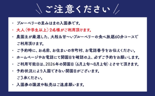 【食べ放題！】ブルーベリー狩り入園券 大人2名分