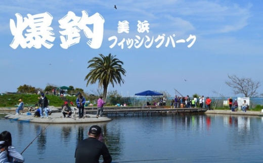 爆釣 美浜フィッシングパーク 利用券 半日券 午後券 女性・子ども（小学生以下）用 体験 チケット ｜ 海釣り 釣り堀 釣堀 旅行 アクティビティ アウトドア スポーツ ギフト券 券 体験チケット 釣り竿 釣竿 竿 釣り餌 レンタル 釣 愛知県 美浜町 知多半島