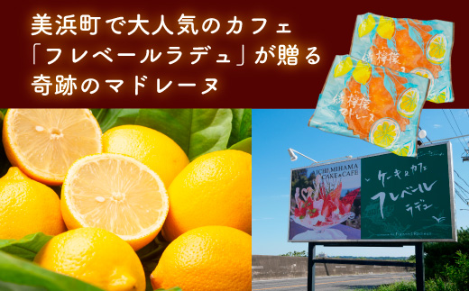 爽やかな風味♪ 美浜檸檬マドレーヌ 10個 フレベールラデュ 焼き菓子 洋菓子 スイーツ お菓子 個包装 贈り物 プレゼント 愛知県 美浜町