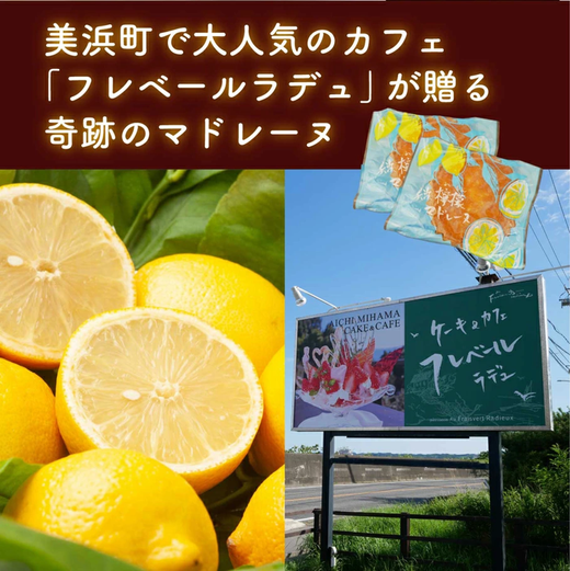 美浜檸檬マドレーヌ 10個 セット｜フレベールラデュ レモン 檸檬 れもん マドレーヌ 焼き菓子 洋菓子 おやつ お菓子 おかし スイーツ ケーキ おすすめ 人気 プレゼント カフェ パフェ 愛知県 美浜町 ※北海道・沖縄への配送不可