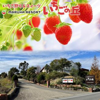 【2026年1月上旬発送開始】まるは食堂 マルハリゾート いちごの丘の『朝摘みいちご』1箱（1箱約450g） ※2026年1月上旬～3月下旬頃に順次発送予定 ※北海道・沖縄・離島への配送不可