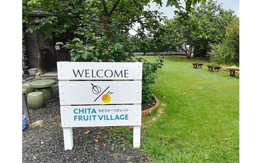 国産(美浜町産)ブラッドオレンジオーナー制度 〇