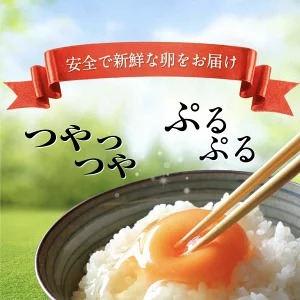 【定期便3ヶ月】匠の卵 20個(割れ玉補償２個）7％の卵｜たまご　卵　玉子　鶏卵　生卵　プレミアム　優秀賞　愛知県　美浜町　国産　産直　卵黄　卵かけご飯