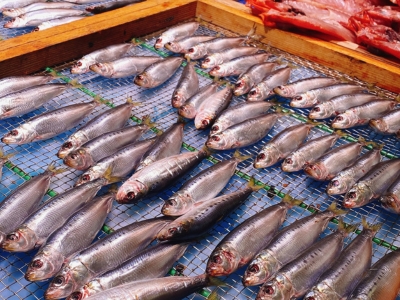 【美浜町・南知多町共通返礼品】年間100万枚販売！魚太郎名物【とろさば】入り・自家製ひもの5種セット★鮮度にこだわる魚屋が丁寧に手作業で作りました！ ※北海道・沖縄・離島への配送不可