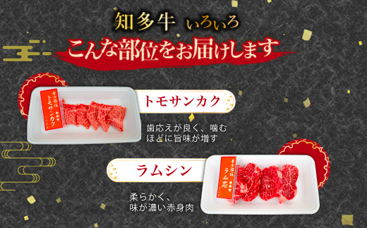 知多牛 焼肉 希少部位 1kg 訳あり 牛肉 国産 ブランド牛 冷凍 1キロ 厳選 ラムシン イチボ 中落ちカルビ ヒレ ロース芯 トモサンカク ネクタイ リブキャップ 赤身 肉 精肉店 直送 愛知県 美浜町