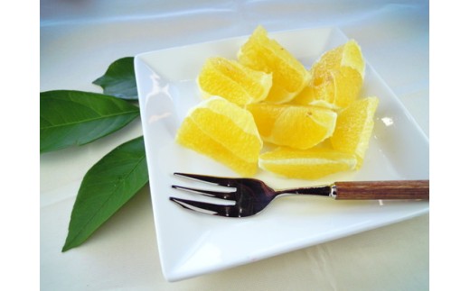 美浜町産はるか　ご家庭用　傷あり　約4kg入り ※2026年1月中旬～3月上旬頃に順次発送予定