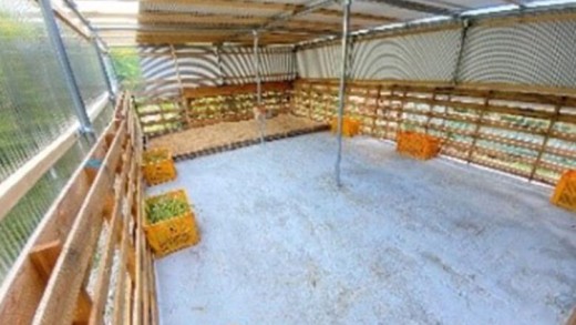 【体験型返礼品】ペットヤギ牧場バックヤードツアー（来場/3時間/2名）（愛知ヤギ農場）