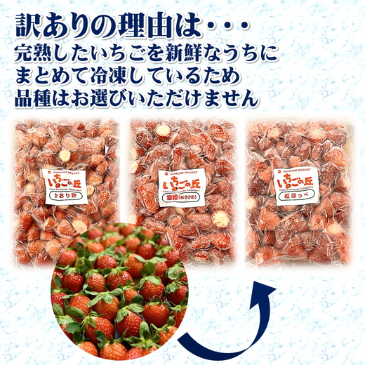 まるは食堂 マルハリゾート いちごの丘 『訳あり』完熟 冷凍いちご 1kg ｜ 訳あり いちご イチゴ 冷凍 　1kg 国産 完熟 スムージー ジャム ヨーグルト シャーベット デザート アイス おやつ 果物 フルーツ 愛知県 美浜町 ※北海道・沖縄・離島への配送不可