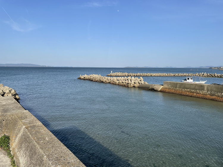 【浜オートキャンプ場】ソロ宿泊キャンプ1サイト区画(1名)利用券｜宿泊 旅行 体験 アウトドア バーベキュー BBQ 日の出 海 愛知県 美浜町