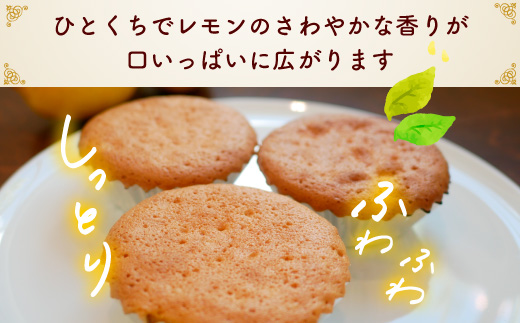 爽やかな風味♪ 美浜檸檬マドレーヌ 10個 フレベールラデュ 焼き菓子 洋菓子 スイーツ お菓子 個包装 贈り物 プレゼント 愛知県 美浜町