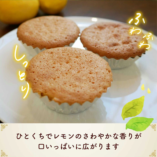美浜檸檬マドレーヌ 10個 セット｜フレベールラデュ レモン 檸檬 れもん マドレーヌ 焼き菓子 洋菓子 おやつ お菓子 おかし スイーツ ケーキ おすすめ 人気 プレゼント カフェ パフェ 愛知県 美浜町 ※北海道・沖縄への配送不可