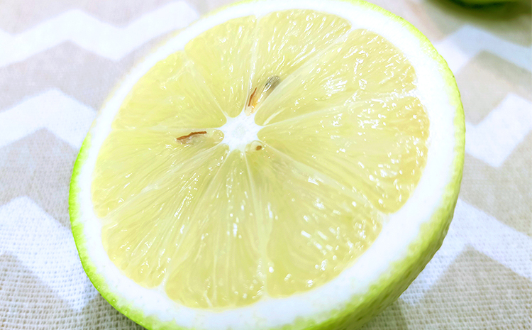 美浜町産温室ベルガモット　生果実『自宅用2kg入り』　※2025年11月上旬頃～2026年2月下旬頃に順次発送