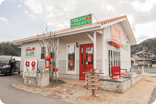 フルーツトマト糖度8.5度　約1.5kg ※2026年1月上旬～4月下旬頃に順次発送予定◆