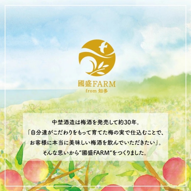 梅シロップ420g×3本 ◆ ❘ 希釈用 梅 氷砂糖 梅ジュース 梅ドリンク 梅サワー 梅ソーダ ノンアルコール ギフト 贈り物 國盛 國盛FARM 紅南高梅 南高梅 完熟梅 フルーツ 愛知県 美浜町 中埜酒造