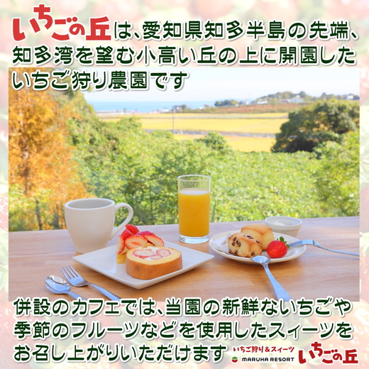 まるは食堂 マルハリゾート いちごの丘 『訳あり』完熟 冷凍いちご 2kg 1kg×2袋 ｜ 訳あり いちご イチゴ 冷凍 2kg 国産 完熟 スムージー ジャム ヨーグルト シャーベット デザート アイス おやつ 果物 フルーツ 愛知県 美浜町 ※北海道・沖縄・離島への配送不可