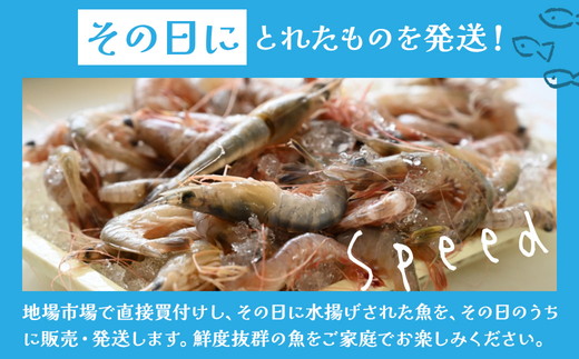 鮮度抜群！お魚おまかせ食べきり６パック・下処理加工してあるので解凍してすぐに調理できます。 ※着日指定不可 ※北海道・沖縄・離島への配送不可
