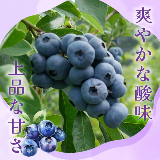 【先行受付予約】知多半島 生ブルーベリー 800g（100g×8パック） 完熟 果物 フルーツ 旬 農園直送 青果物 国産 健康 美容 愛知県 美浜町 ブルーベリーの里みはま 産地直送 ※2026年6月上旬～8月中旬に順次発送予定 送料無料 数量限定 期間限定 ※北海道・沖縄・離島への配送不可