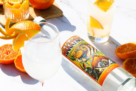 中津ジン ポンカン 500ml 1本 ｜ 酒 お酒 スピリッツ クラフトジン 蒸留酒 国産 カクテル ちたぽん ソーダ割り NAKATSU GIN アルコール ロック ソーダ ジントニック ギフト お試し 晩酌 愛知県 美浜町 ※2025年12月上旬～2026年6月下旬頃に順次発送予定