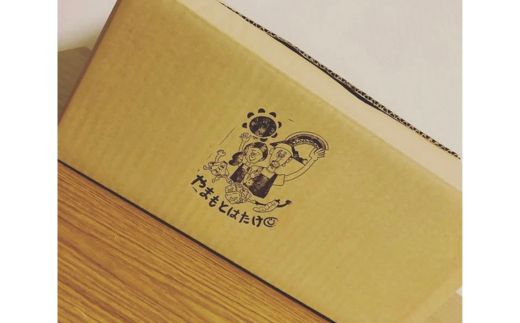 さつまいも4kg　一味唐辛子付き（20g）｜ サツマイモ 紅はるか かんしょ 美浜町産 知多半島産 愛知県産 国産 期間限定 香辛料 調味料 味付け　※北海道・沖縄・離島への配送不可